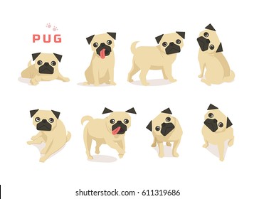 animal dog pug character vector illustration flat design