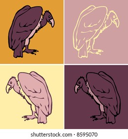 animal drawing - vulture