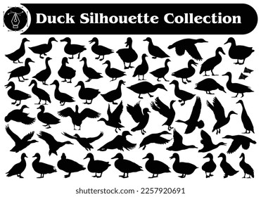 Animal duck silhouette Vector Collection