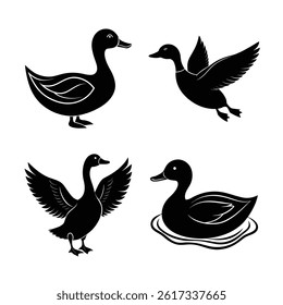 Animal Duck Silhouette Vector Illustration Set
