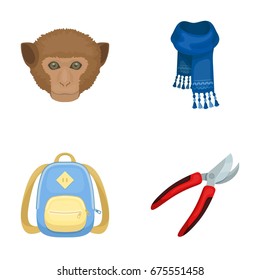 animal, education and other web icon in cartoon style. clothing, gardening icons in set collection.