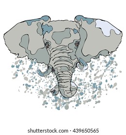 Animal. Elephant. Close-up. Splashes and drops of paint. Isolated vector object on white background.