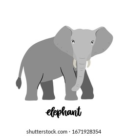 Animal elephant isolated on white background. Beautiful animal print for home decor, card, mug, brochures, poster, t-shirts etc. Modern vector illustration.