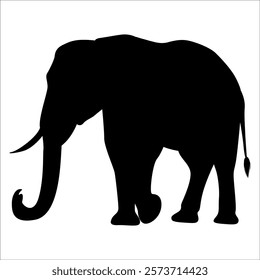 Animal Elephant silhouette vector illustration