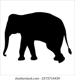 Animal Elephant silhouette vector illustration