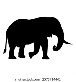 Animal Elephant silhouette vector illustration