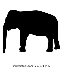 Animal Elephant silhouette vector illustration