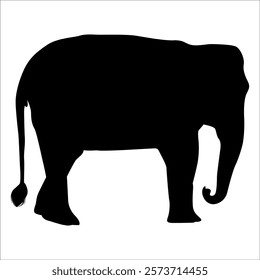 Animal Elephant silhouette vector illustration