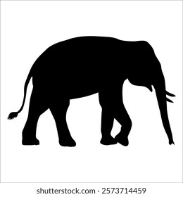 Animal Elephant silhouette vector illustration