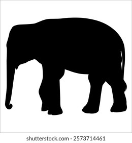 Animal Elephant silhouette vector illustration