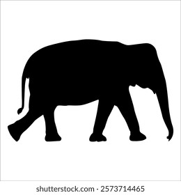 Animal Elephant silhouette vector illustration