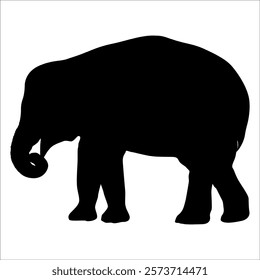 Animal Elephant silhouette vector illustration