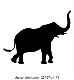 Animal Elephant silhouette vector illustration