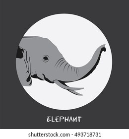 Animal Elephant Vector illustration isolated on slate gray