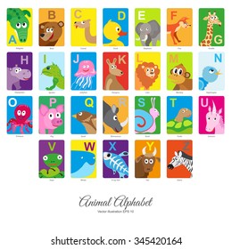 Animal English Alphabet, colorful vector illustration on isolated on white background