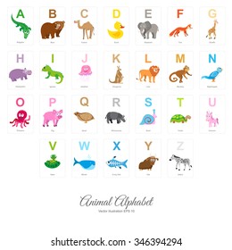 Animal English Alphabet Colorful Vector Illustration Stock Vector 