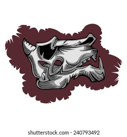 animal evil skull hand draw isolated on white