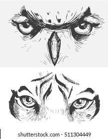 Animal eyes. Tiger eyes. Owl eyes. Vector sketch illustration.