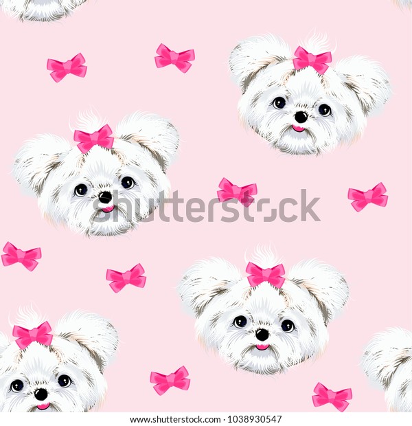 muzzle for maltese dogs