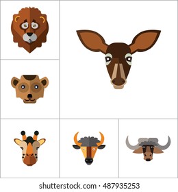 Animal Faces Icon Set