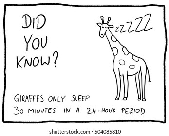 Animal facts about giraffe - fun trivia cartoon doodle concept. Newspaper funny comic fact.