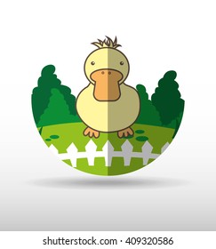 animal farm design 