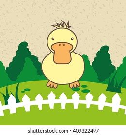 animal farm design 