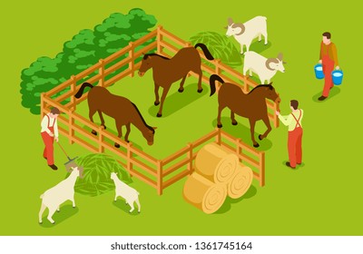 Animal farm, livestock with horses, goats, sheeps and workers isometric vector illustration