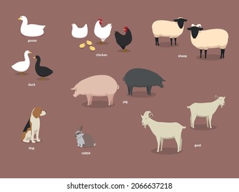 Animal farm with various animals