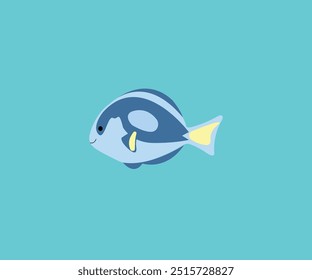 fauna animal Ocean Fish