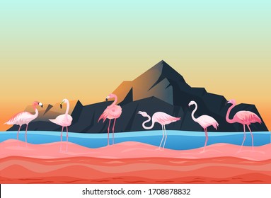 Animal flamingo place, natural landscape flat vector illustration. Beautiful poultry stand shallow water river, rock mountain background. Flock pink flamingos rest feed, tropical migratory bird.