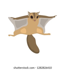 animal flat color flying squirrel icon