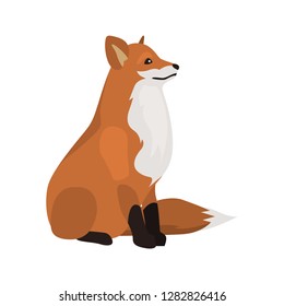 animal flat color fox icon