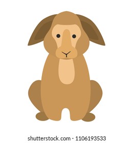 Animal flat color icon