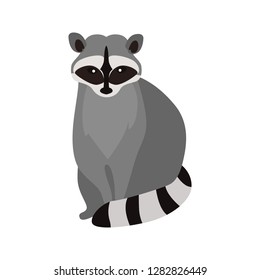 animal flat color raccoon icon