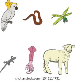 Animal  Flat Vector illustration Icon Set isolated – Vector