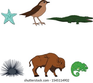 Animal  Flat Vector illustration Icon Set isolated – Vector
