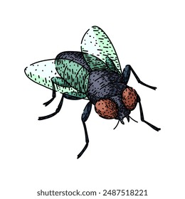 animal fly hand drawn. house vintage, isolated black, nature collection animal fly vector sketch. isolated color illustration