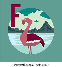 Animal Font and Typography F for Flamingo