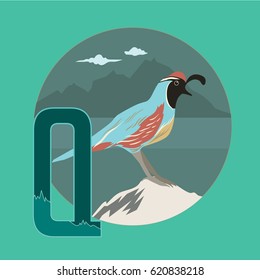 Animal Font and Typography Q for Quail
