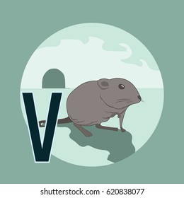 Animal Font and Typography V for Vole