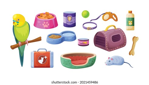 Animal food, accessories and toys domestic store. Pet shop supplies and accessories: parrot, shampoo, bone, food, first-aid kit, house-scratching post, ribbed ball, leash-collar cartoon vector