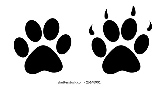 animal foot print illustration