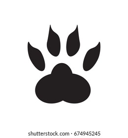 animal foot print. tiger