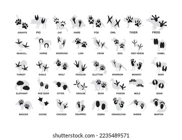 Animal foot print vector For Print, Animal foot print vector Clipart, Animal foot print vector Illustration