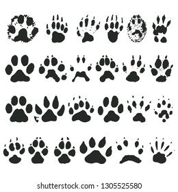 Animal foot prints icons set on white background for graphic and web design, Modern simple vector sign. Internet concept. Trendy symbol for website design web button or mobile app