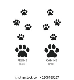 Animal Foot Trace Symbol Of Cat And Dog Paw Print Silhouette Clipart, Isolated On White Background.