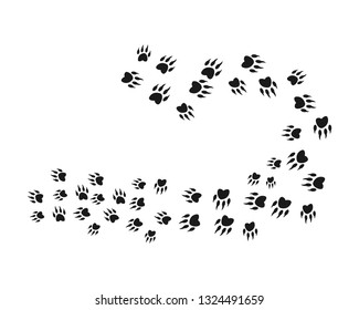Animal footprint background template vector