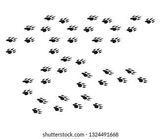 Animal footprint background template vector