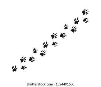 Animal footprint background template vector